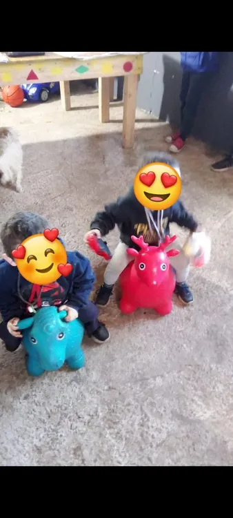 367487684_310410854982456_7862021405099502347_n