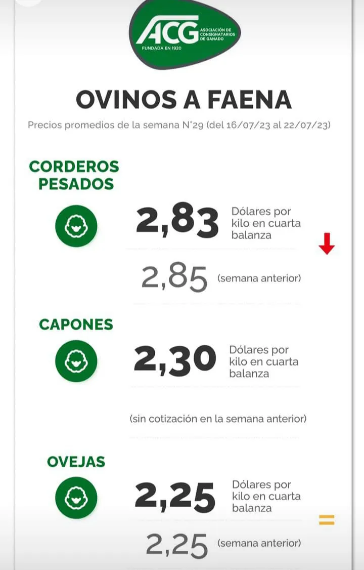 WhatsApp Image 2023-07-24 at 22.52.08 (2)