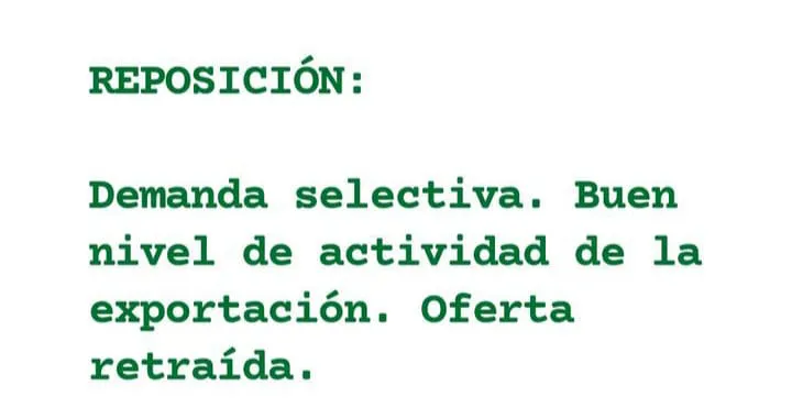 WhatsApp Image 2023-07-24 at 22.52.09