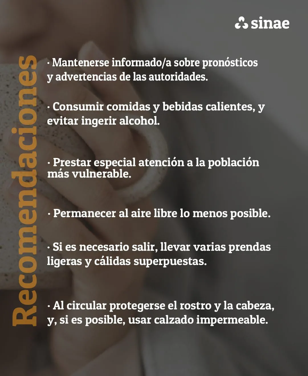 353459078_663465805798160_6294354622794196711_n