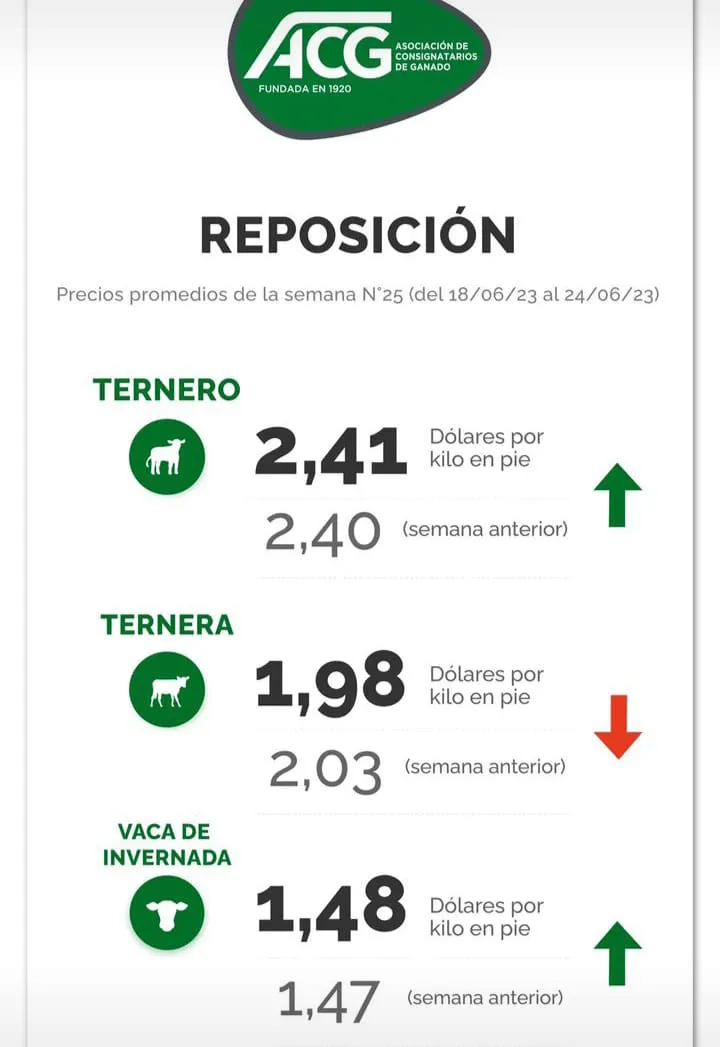 WhatsApp Image 2023-06-27 at 11.41.38