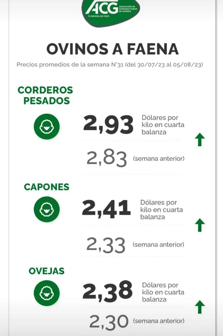 WhatsApp Image 2023-08-08 at 10.20.57 (1)