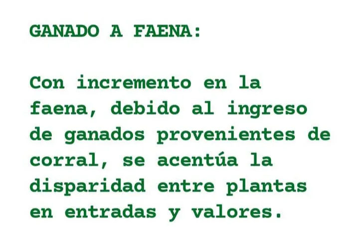 WhatsApp Image 2023-08-08 at 10.20.57