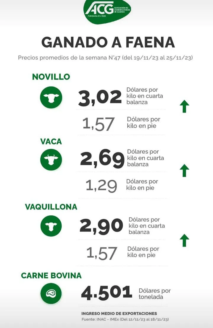 WhatsApp Image 2023-11-27 at 21.30.02