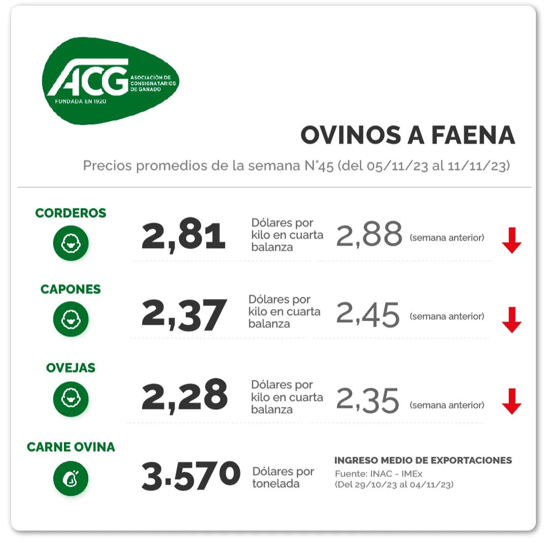 Screenshot_20231113_230741_Instagram