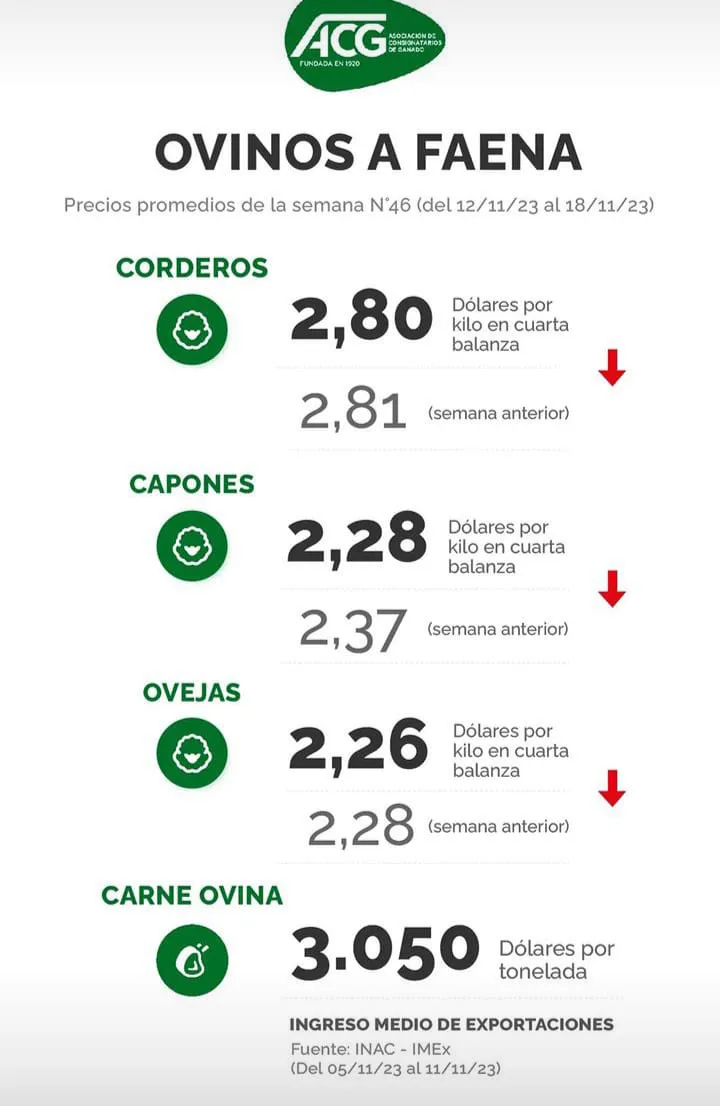 WhatsApp Image 2023-11-21 at 10.39.07