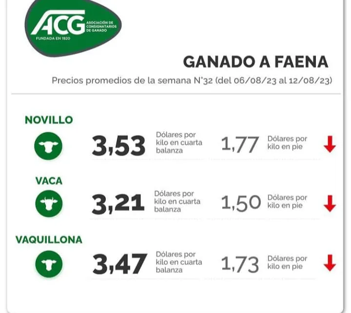 WhatsApp Image 2023-08-15 at 09.12.50