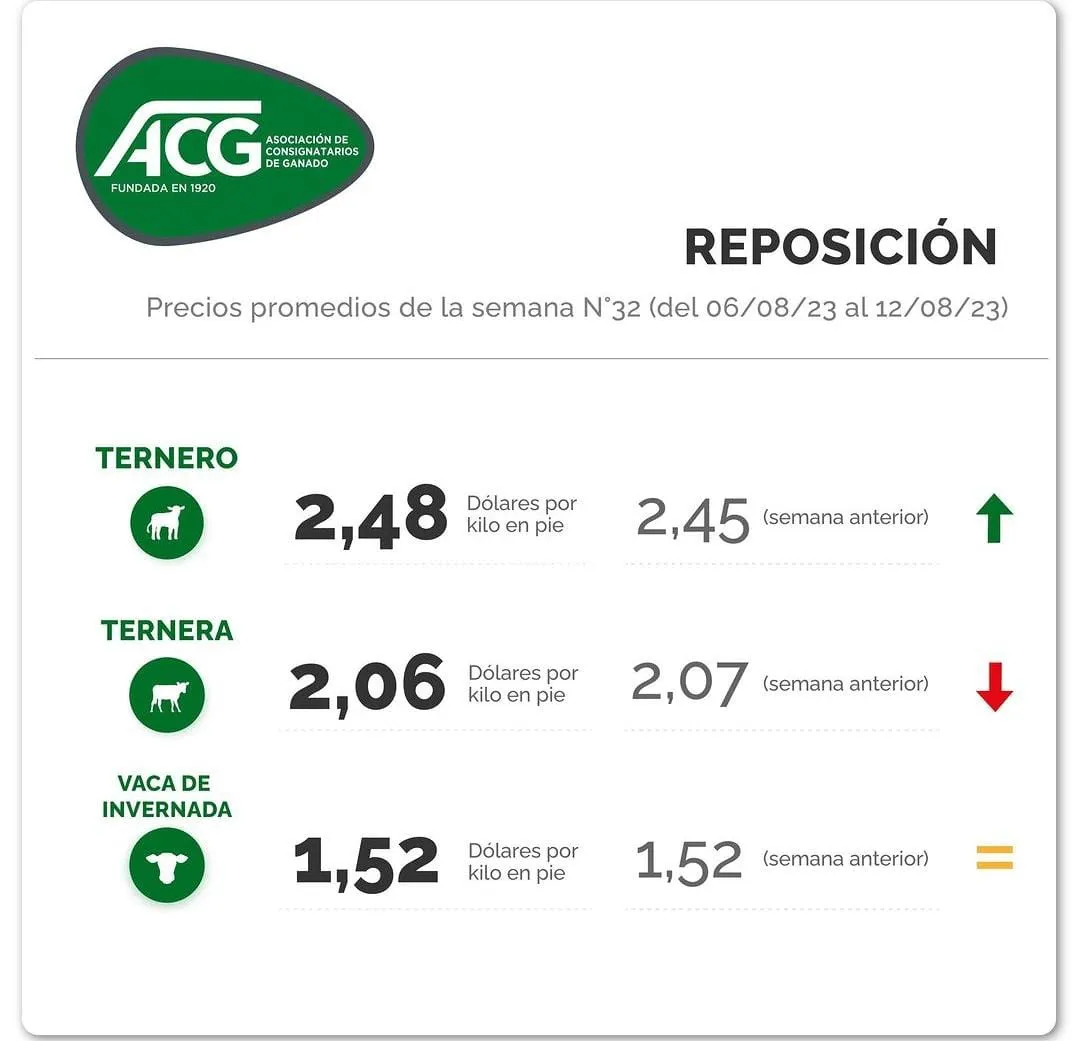 WhatsApp Image 2023-08-15 at 09.13.45