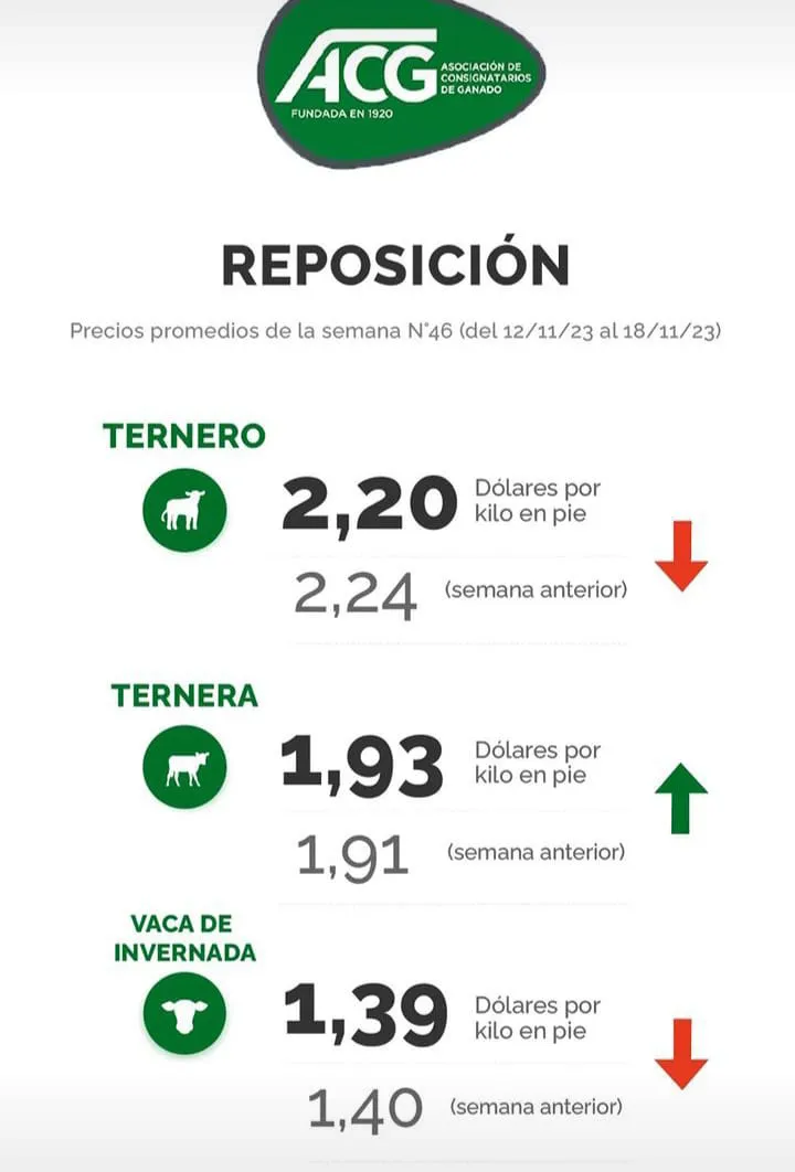 WhatsApp Image 2023-11-21 at 10.39.08