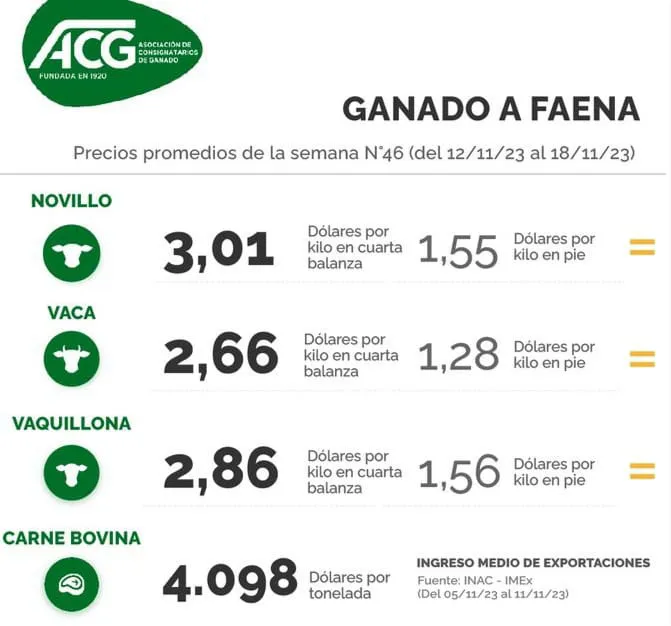 WhatsApp Image 2023-11-21 at 10.39.06