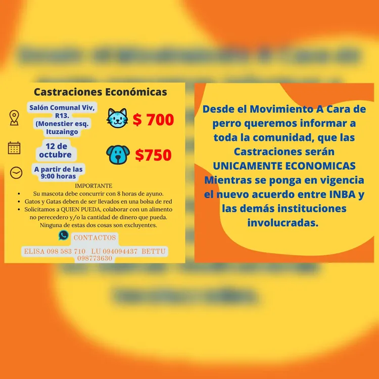 WhatsApp Image 2023-10-03 at 17.55.29