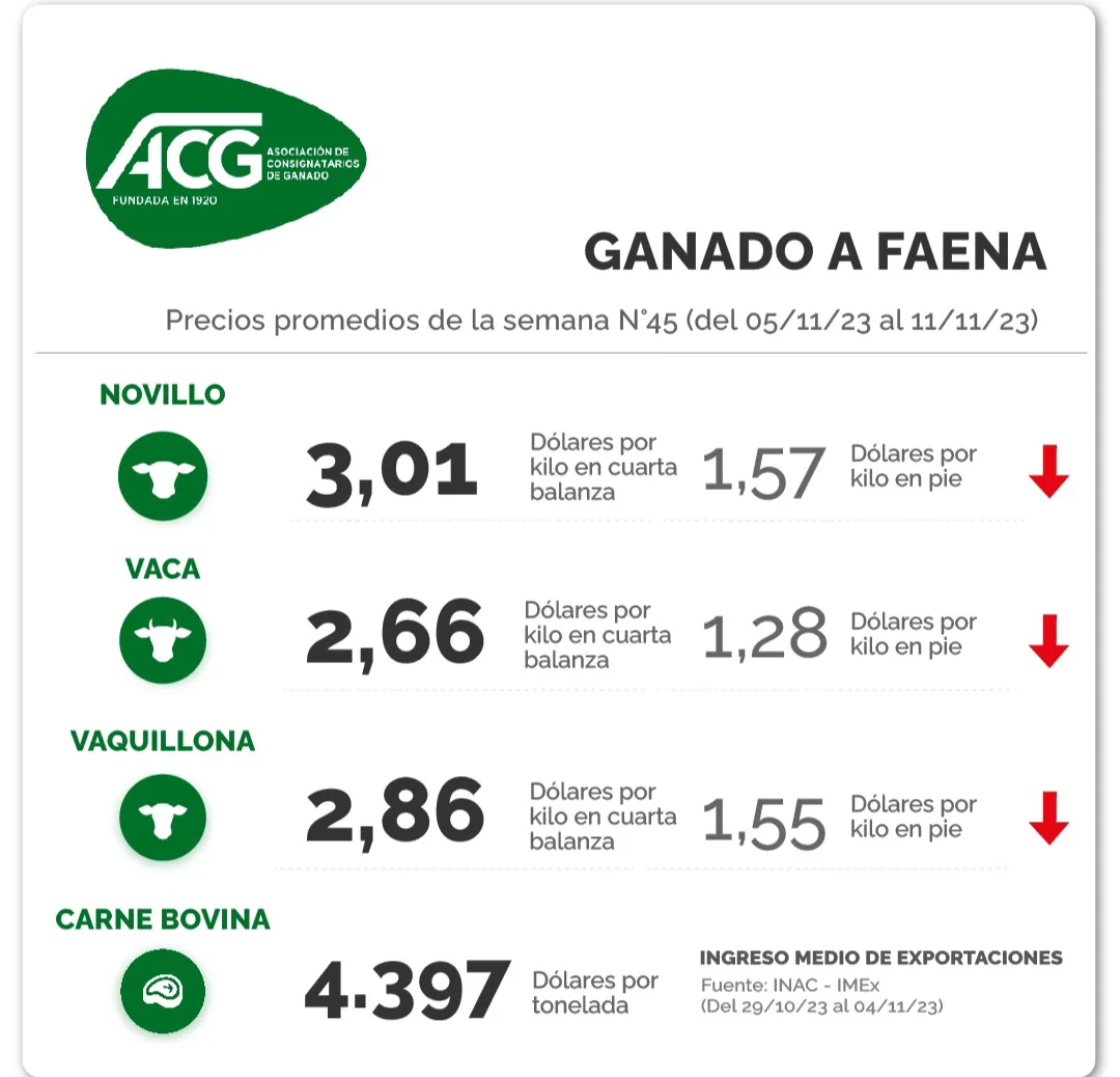 Screenshot_20231113_230729_Instagram