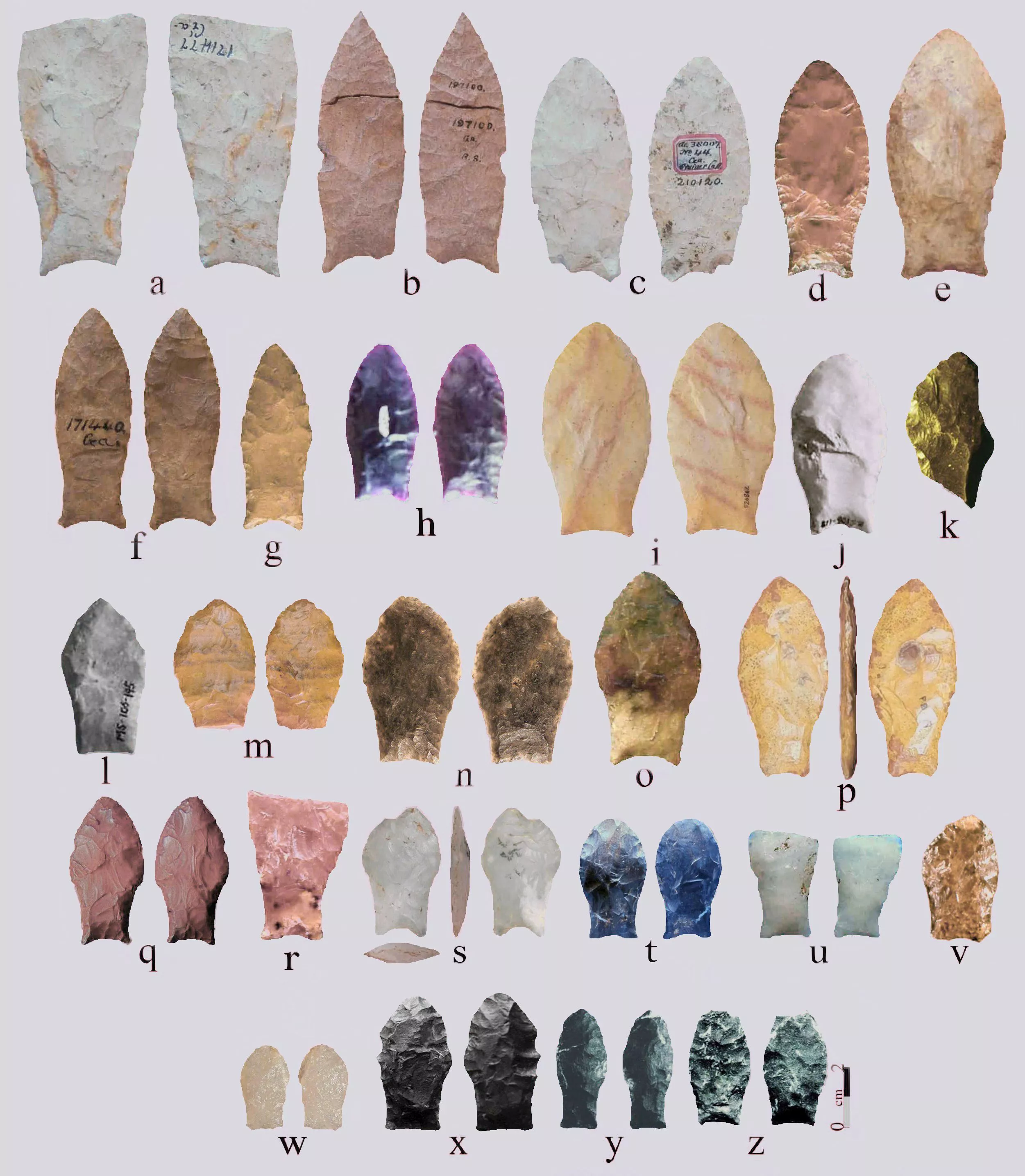 Variedad lanceolada de puntas “pisciformes” del este de Estados Unidos (a-g), Centro América (h-i) y Sudamérica (j-z). Uruguay n-w.