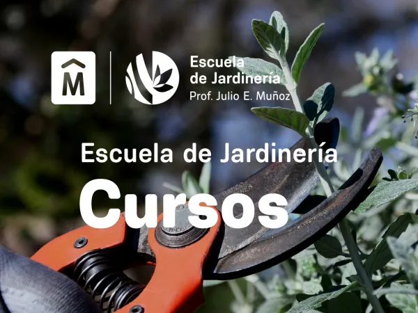 posteo_web_destacado