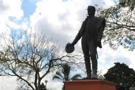 images (11)