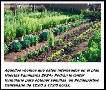 FB_IMG_1704544606824