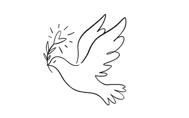 Pigeon Drawing