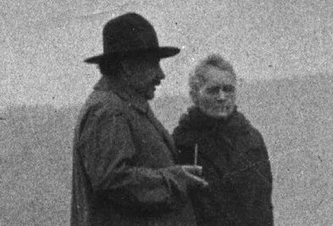 EinsteinMate