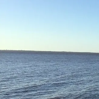 Screenshot_2025-02-12-12-48-11-664_com.android.chrome-edit