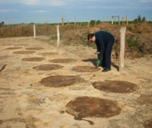 Huella De Los Dinosaurios 1