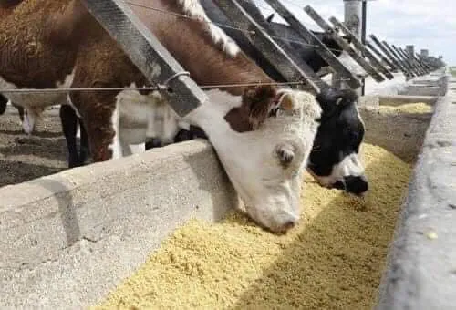 371805584_614368717545192_5462438431852741806_n