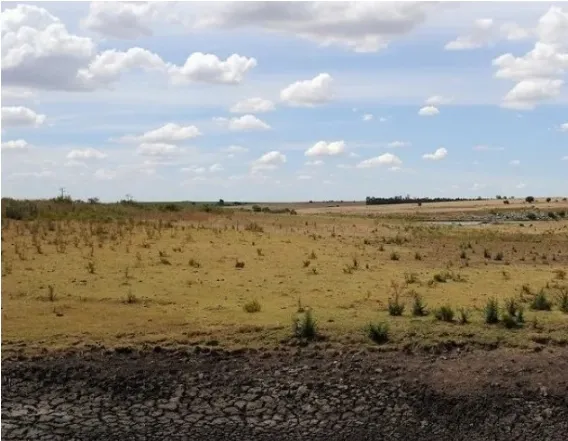 Screenshot_20260103_130153_Facebook