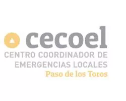 multimedia.miniatura.ac58a476ec39ec46.6365636f656c6c5f6d696e6961747572612e77656270