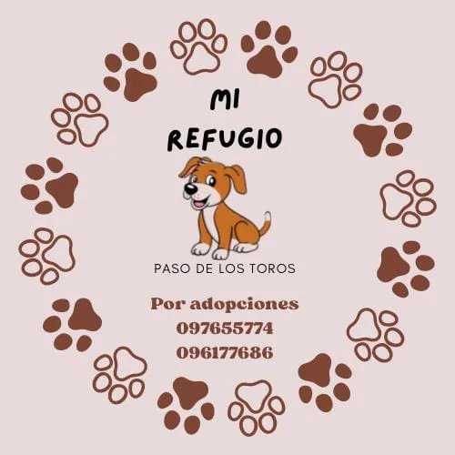 450461356_508901944822236_2389219821648705546_n