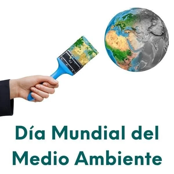 box-dia-mundial-medio-ambiente.jpg