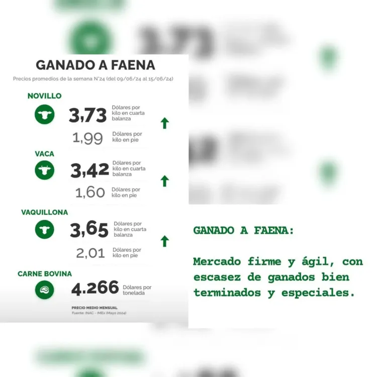 WhatsApp Image 2024-06-18 at 09.15.38 (1)