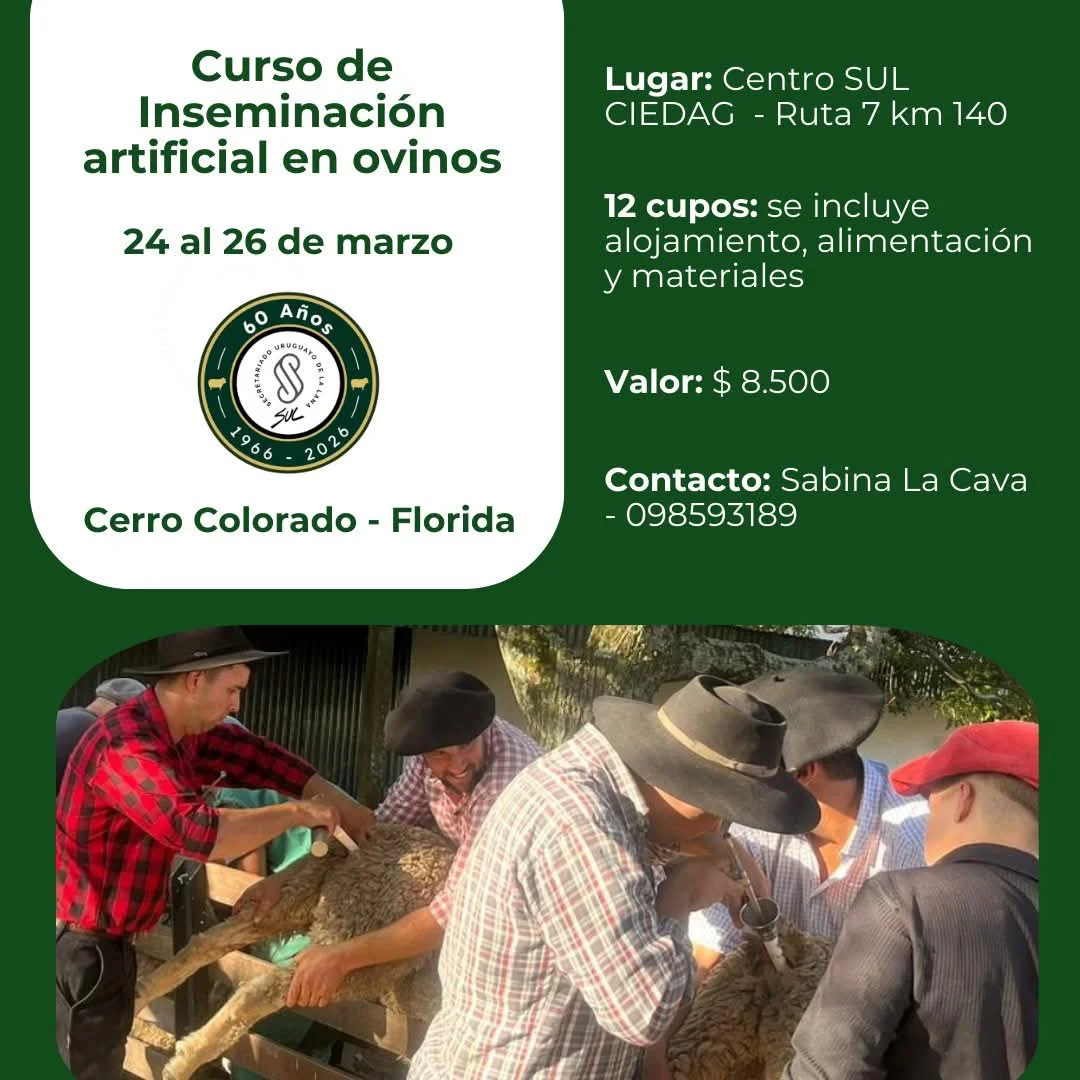 FB_IMG_1774038156050