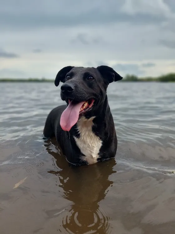 WhatsApp Image 2024-02-25 at 17.26.58