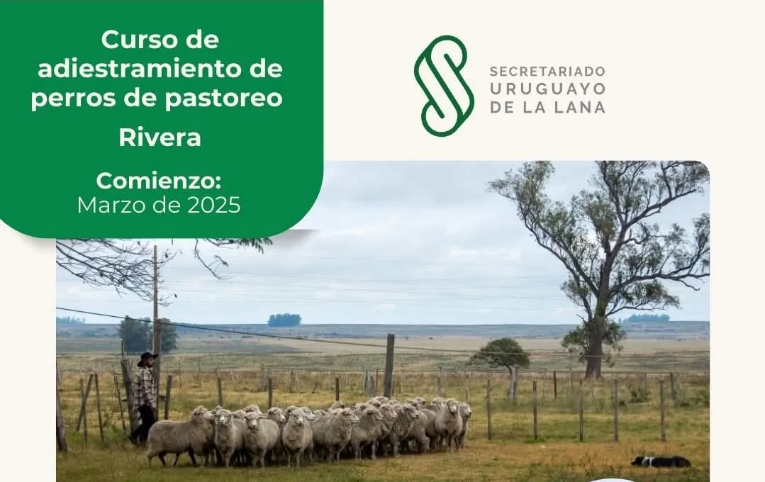 Screenshot_20250127_125436_Facebook