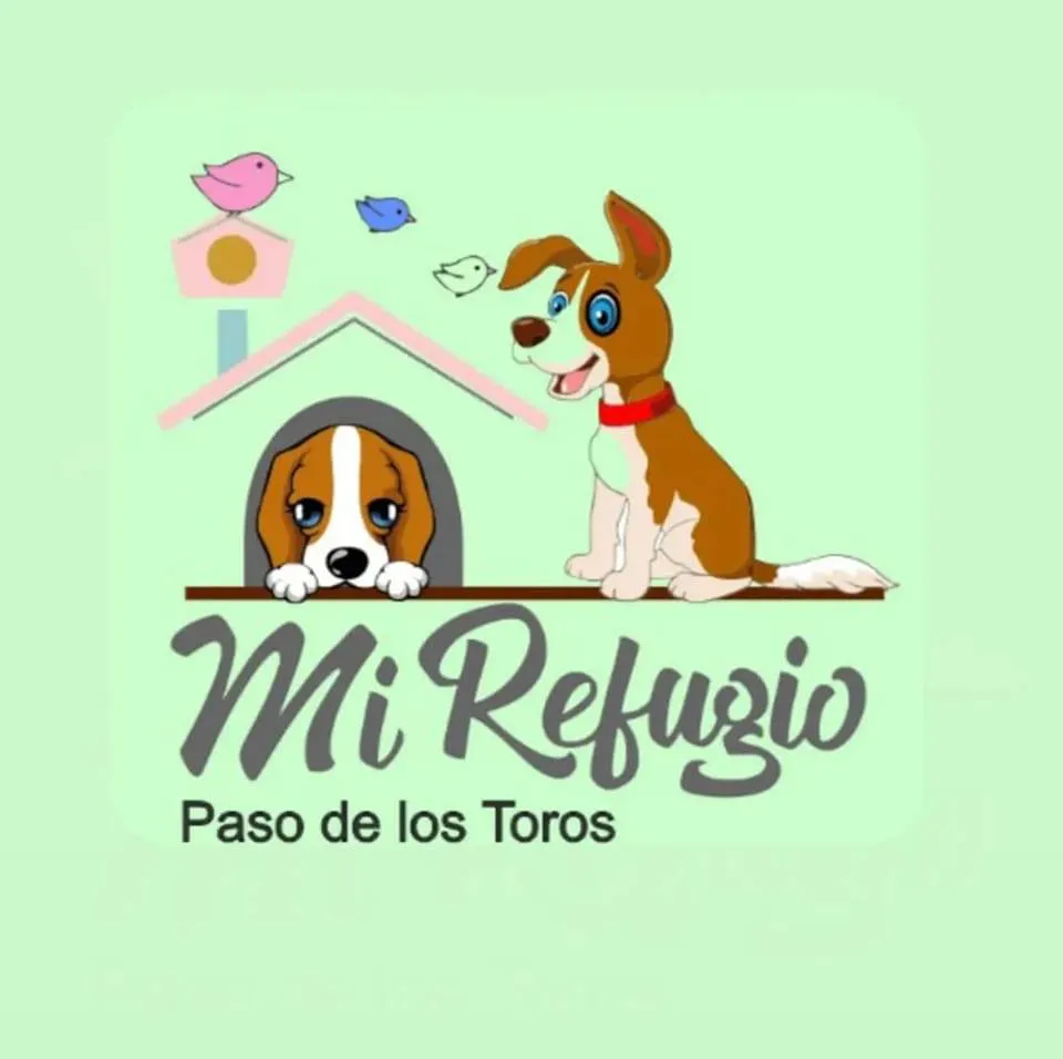 335533681_208358808453000_7755560621703244530_n