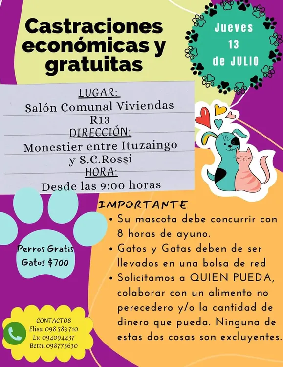 FB_IMG_1688862516877