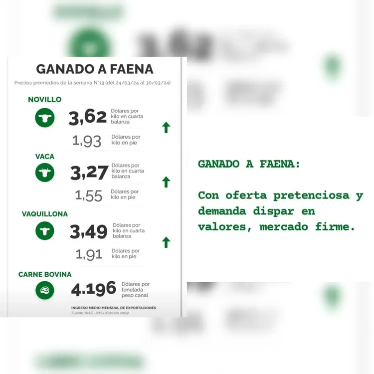 WhatsApp Image 2024-04-02 at 14.21.01