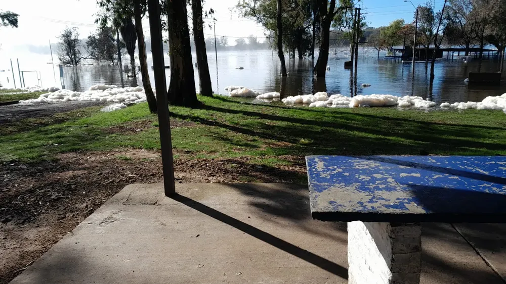 WhatsApp Image 2024-05-20 at 10.53.17 (1)