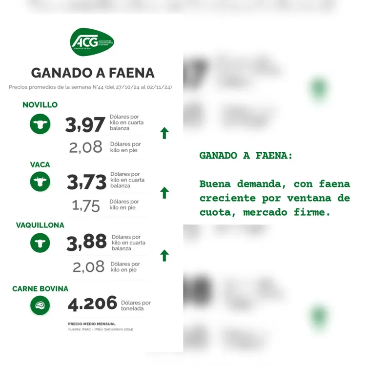 InShot_20241105_094329224