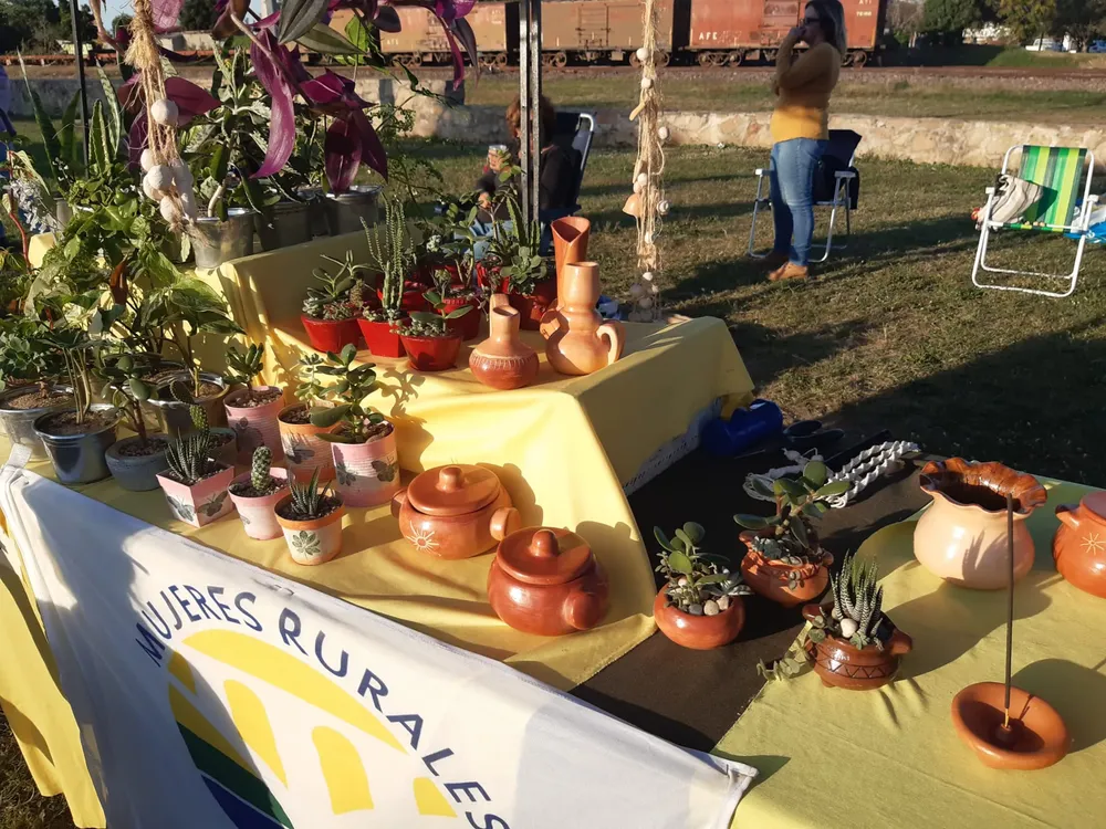 WhatsApp Image 2023-05-13 at 16.49.07