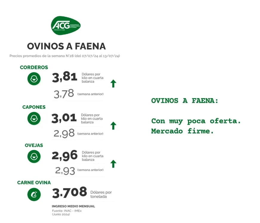 WhatsApp Image 2024-07-16 at 09.05.35 (2)