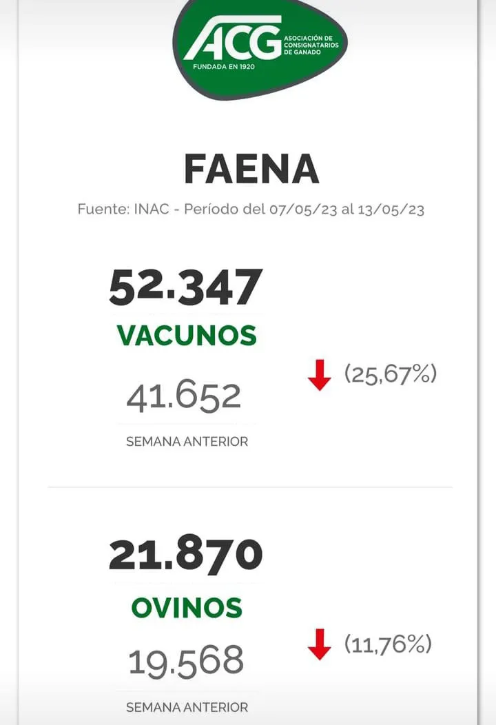 WhatsApp Image 2023-05-16 at 09.05.31 (1)