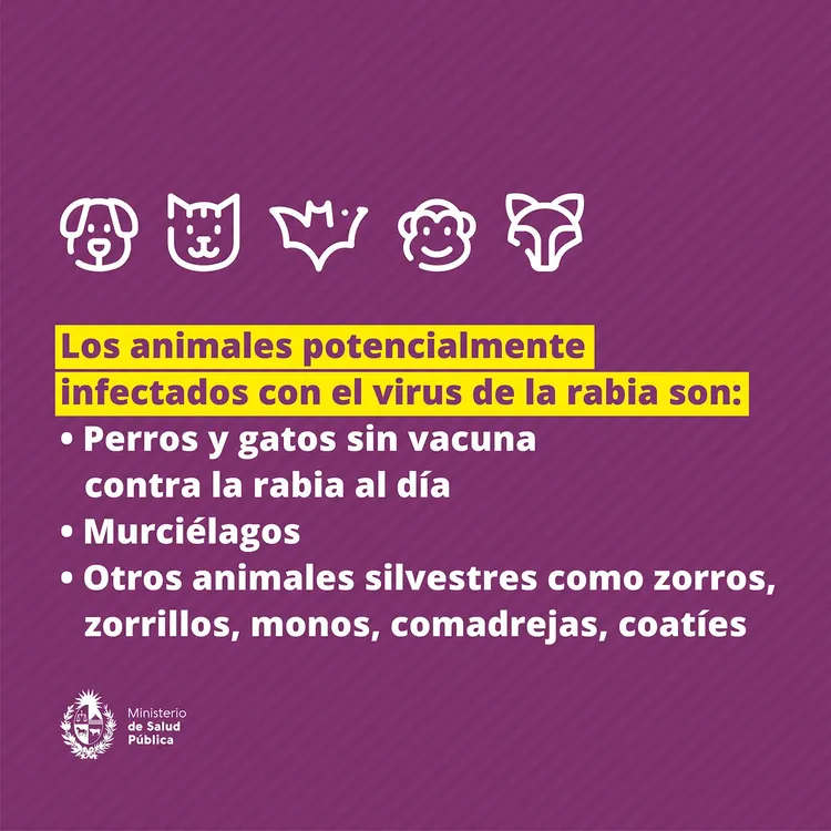 450340702_781625677475435_8995299342095556045_n