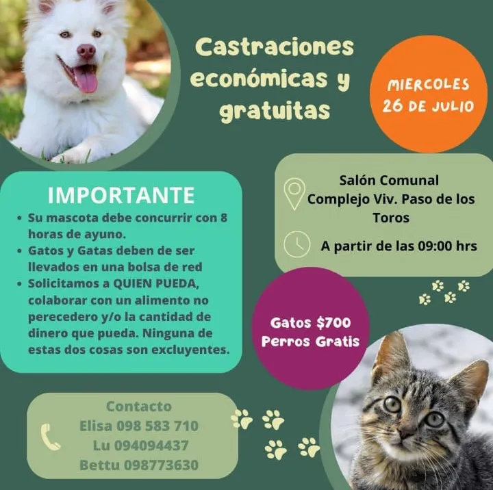 WhatsApp Image 2023-07-24 at 08.54.11