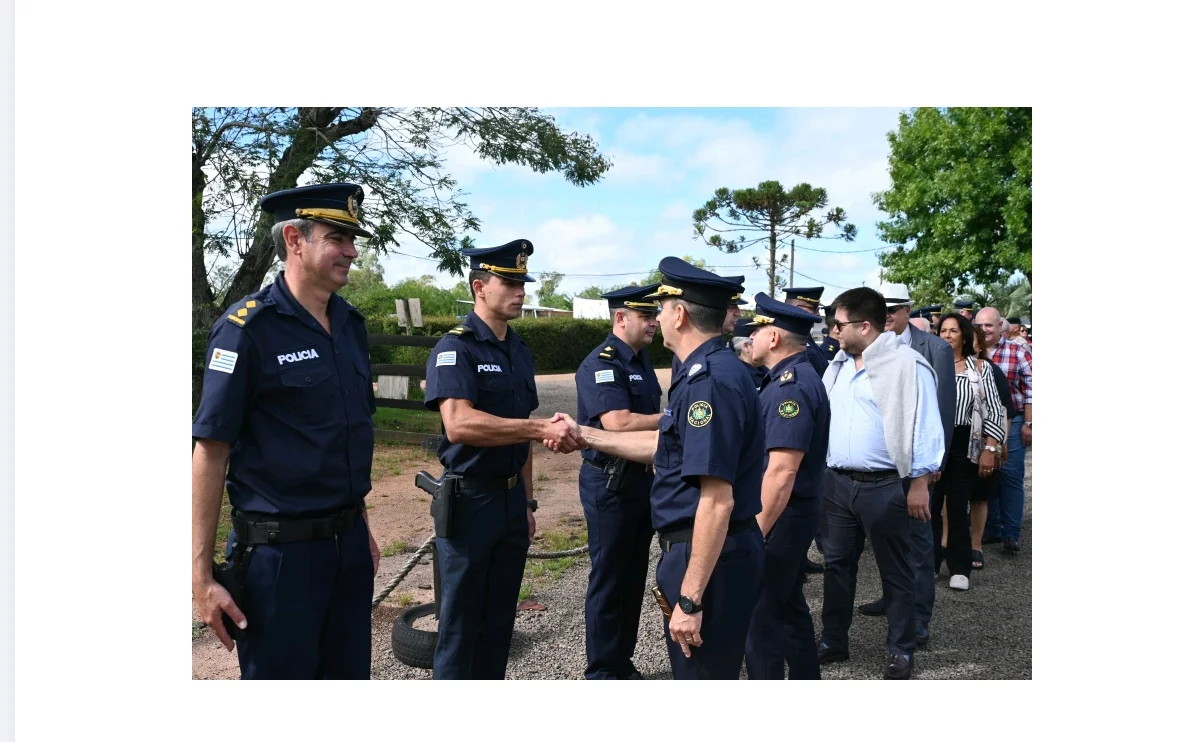 Screenshot_20260319_154634_com_hihonor_hnoffice_PDFPhoneActivity0