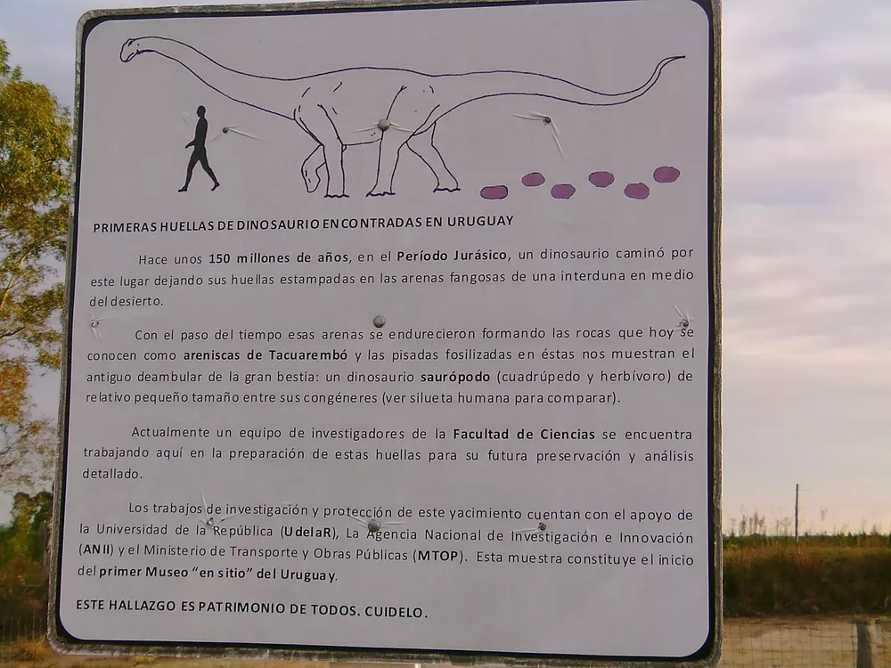 Huellas_de_Dinosaurios