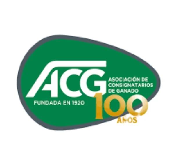 Screenshot_2024-11-12-13-45-01-327_com.android.chrome-edit