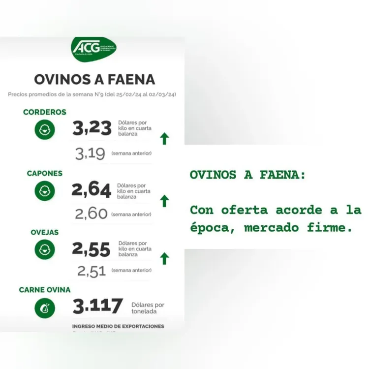 WhatsApp Image 2024-03-05 at 09.21.07 (2)