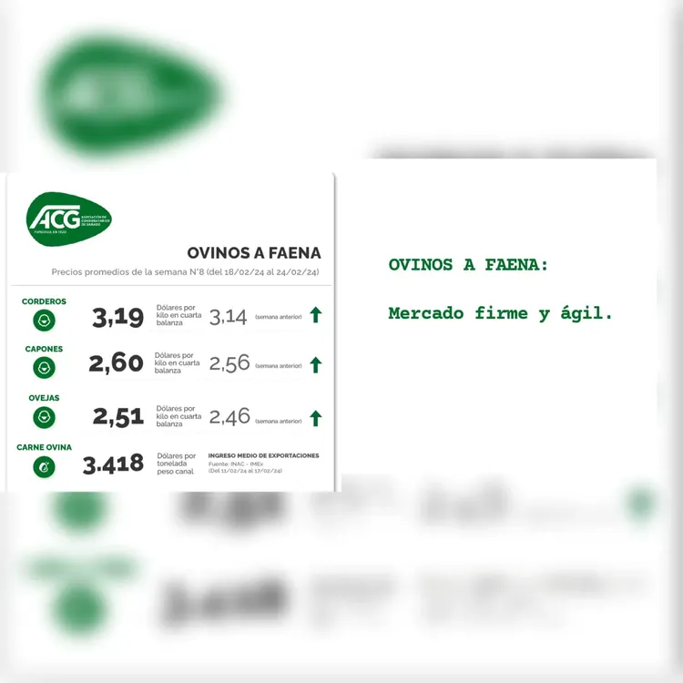 WhatsApp Image 2024-02-27 at 08.29.27