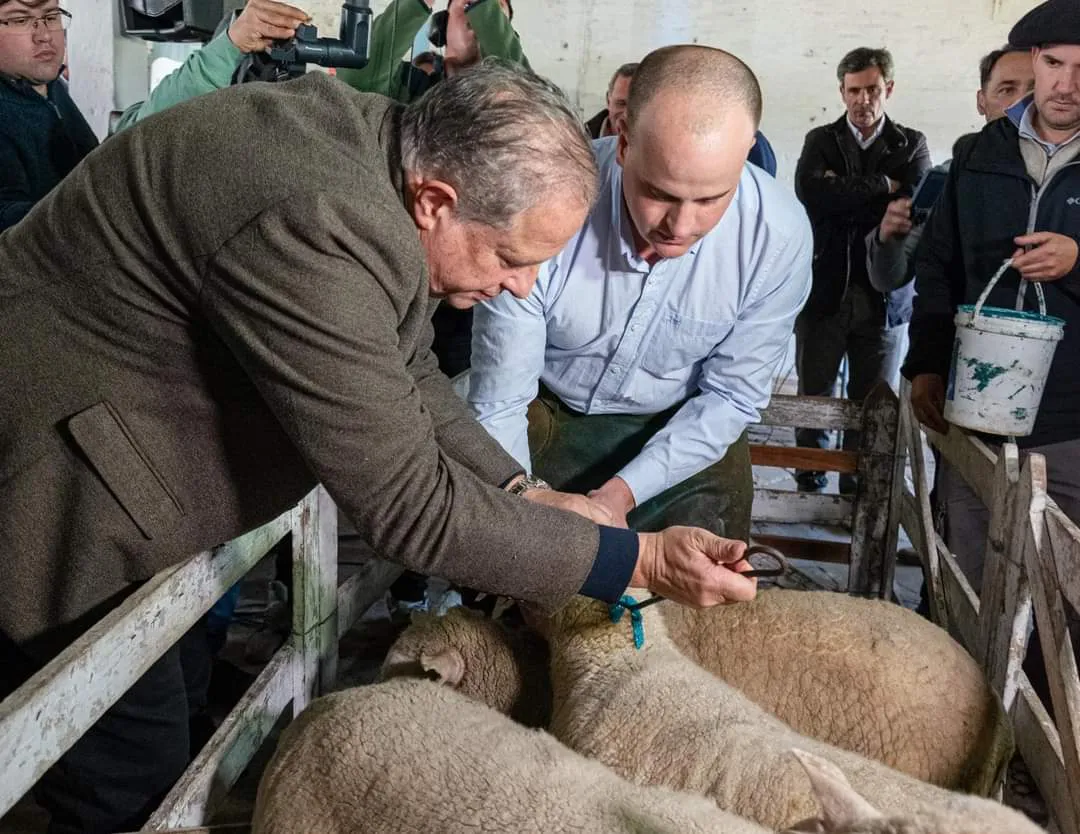 FB_IMG_1691755403582