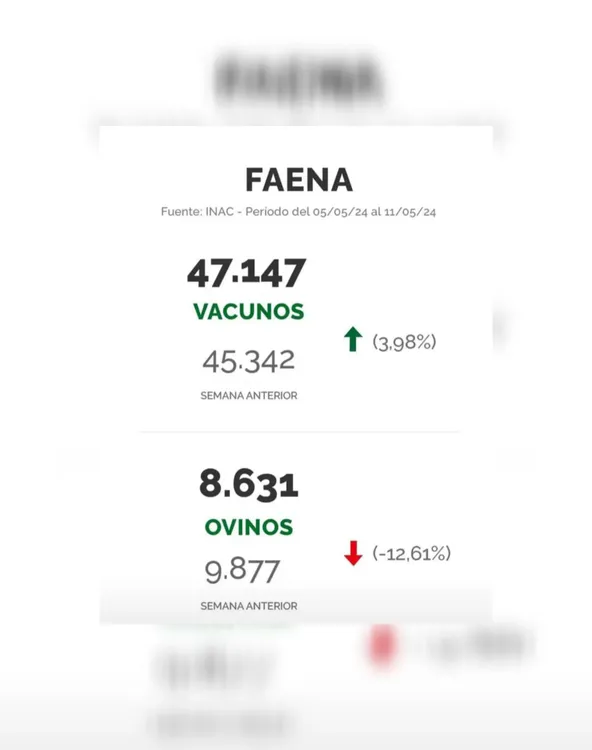 WhatsApp Image 2024-05-14 at 13.51.11